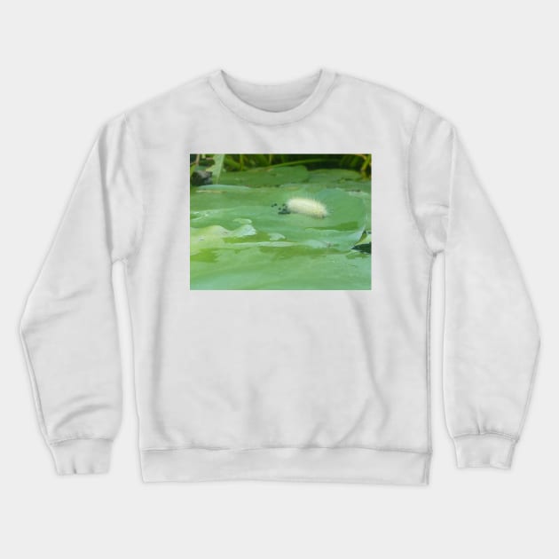 Caterpillar on Waterlily V3 Crewneck Sweatshirt by SomewhereHere